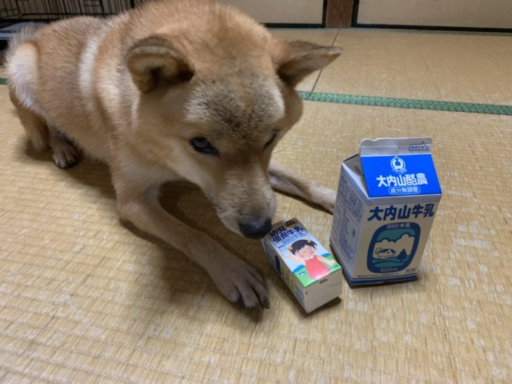 お酒は２０歳から We むさし